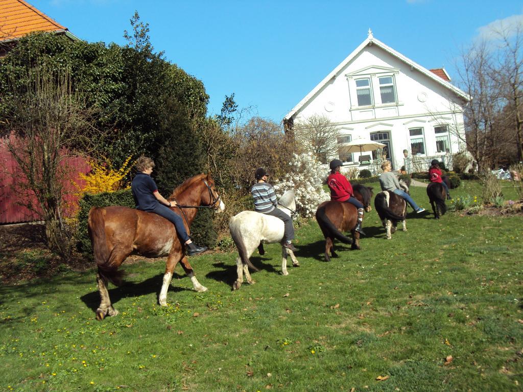 Farm Stay Hof Auf Der Wurp Harrierwurp Dış mekan fotoğraf