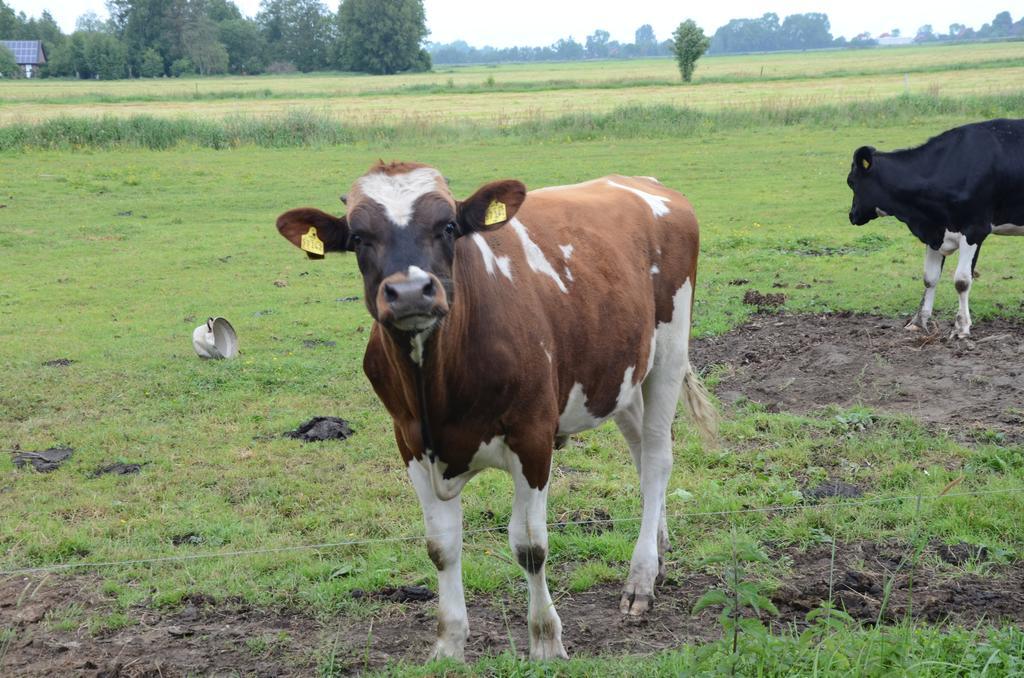 Farm Stay Hof Auf Der Wurp Harrierwurp Dış mekan fotoğraf